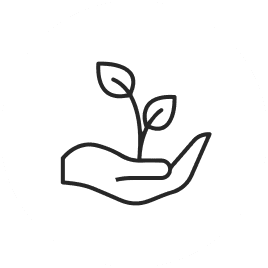 Natural ingredients icon